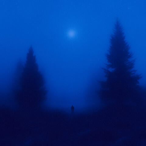 cold winter