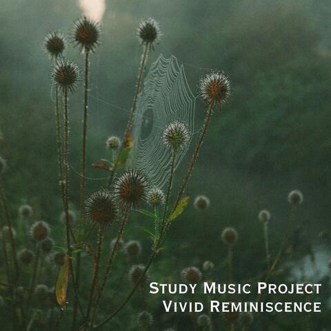 Vivid Reminiscence