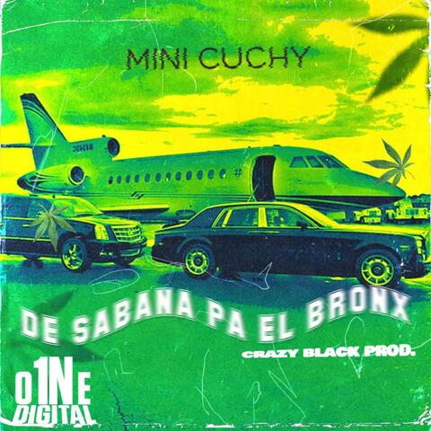De Sabana Pal Bronx