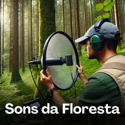 Pássaros da Floresta