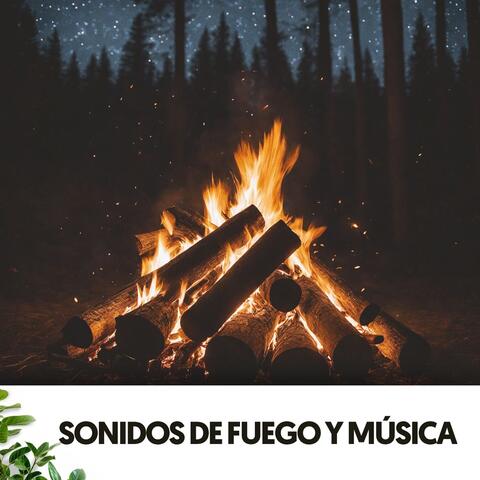 Sonidos de Fuego y Música: Danza bajo las estrellas