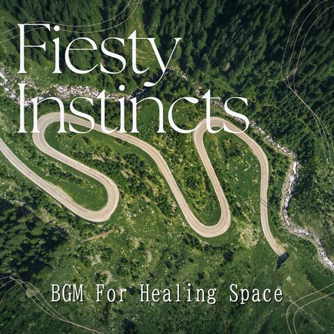 BGM For Healing Space