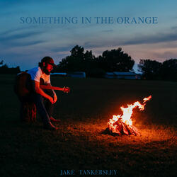 Something in the Orange