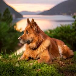 Tranquil Beats Enhance Rest