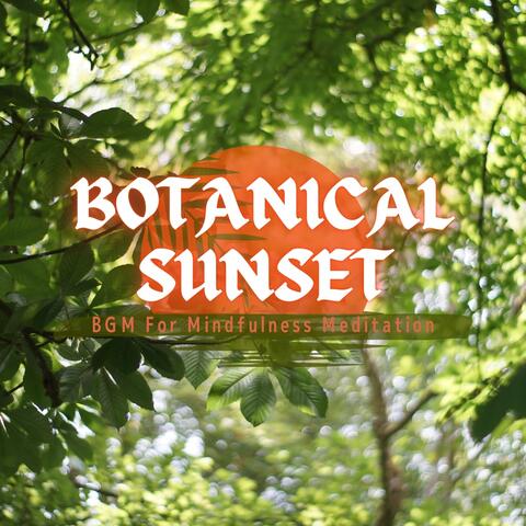BGM For Mindfulness Meditation