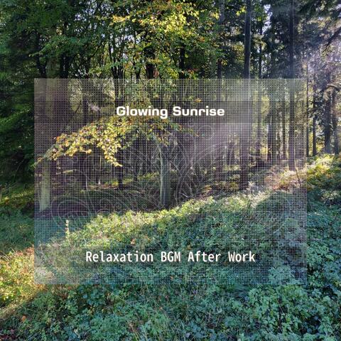 Relaxation BGM After Work
