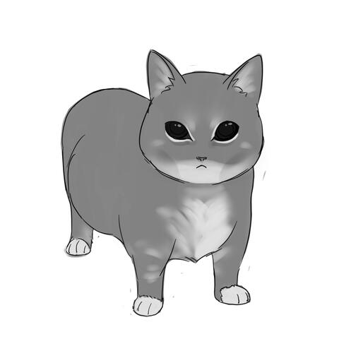 Oai - Oai - Oai Kitty