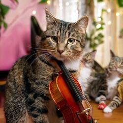 Playful Strings Drift