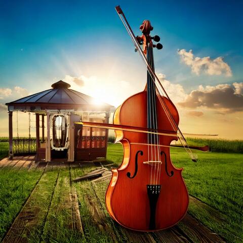 Relaxation Symphony: Peaceful Orchestra Music