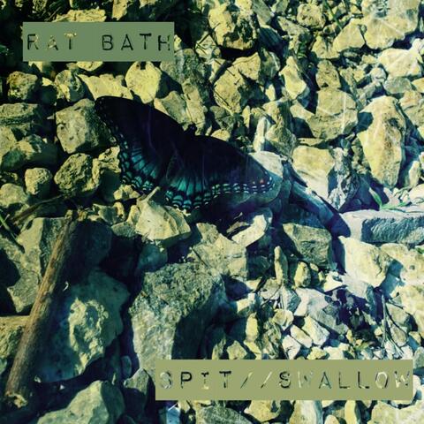 Spit//Swallow