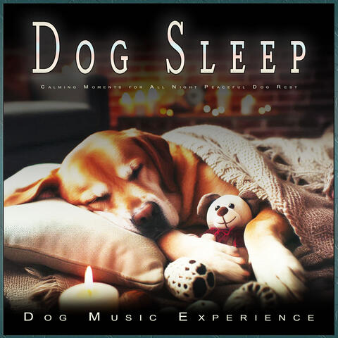 Dog Sleep: Calming Moments for All Night Peaceful Dog Rest