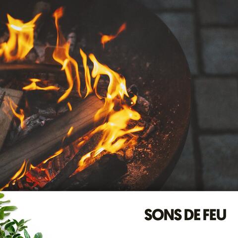 Sons de Feu : Fusion Flamenco