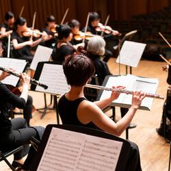 Harmonious Orchestra for Mindful Meditation