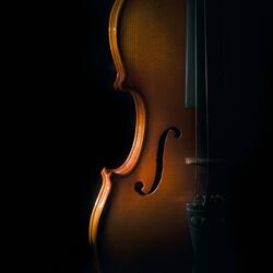 Orchestra for Quiet Reflection