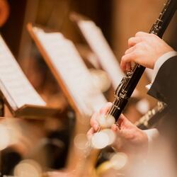 Yoga in Orchestral Tones