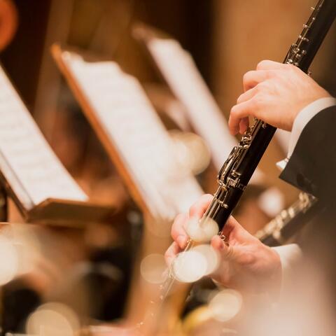 Serene Orchestra: Music for Yoga