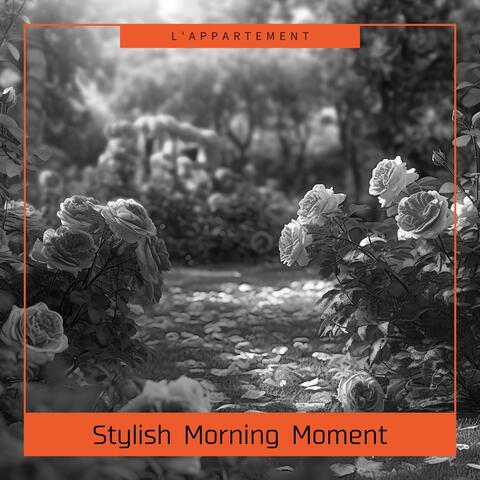 Stylish Morning Moment