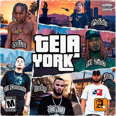 Tela York
