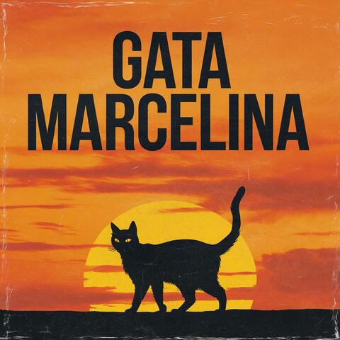 Gata Marcelina