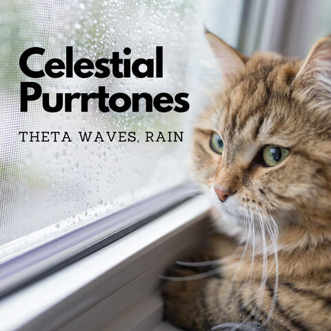 Celestial Purrtones: Theta Waves, Rain