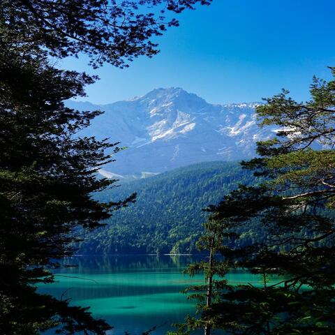 Echoes of Serenity