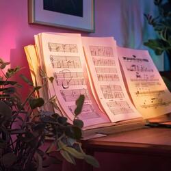 Gentle Chord Motions