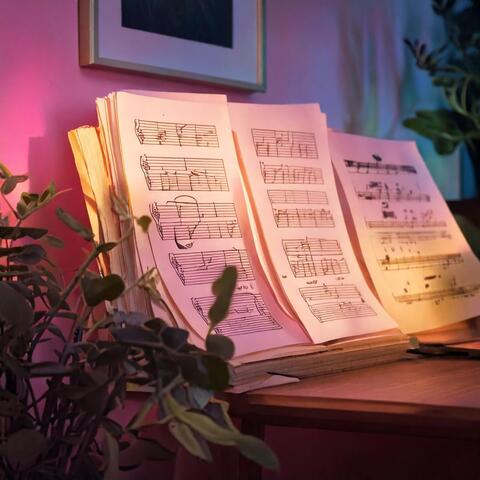 Harmonious Lofi: Gentle Music Layers