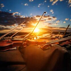 Symphony of Quiet Bliss