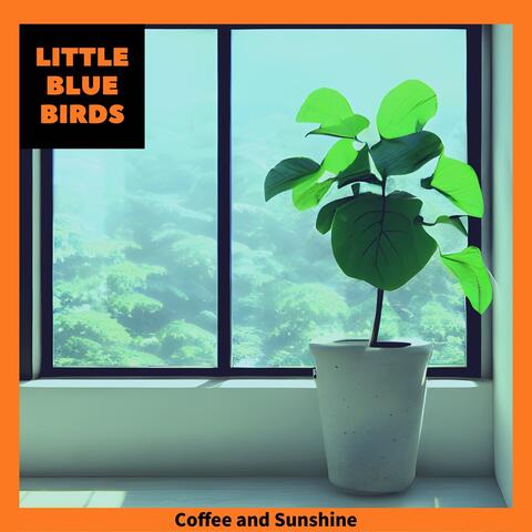 Coffee and Sunshine