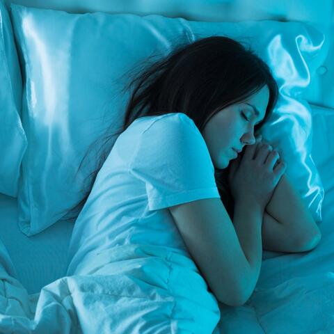 Evening Rest Harmony: Soft Music for Quiet Nights
