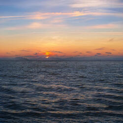 I'm Sorry for Everything