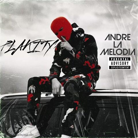 Plakity