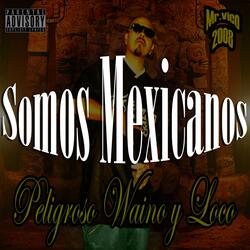 Somos Mexicanos