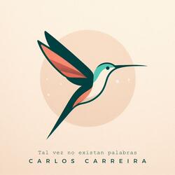 Tal Vez No Existan Palabras