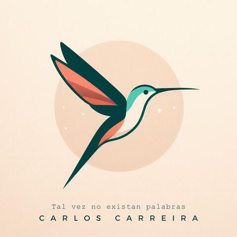 Tal Vez No Existan Palabras