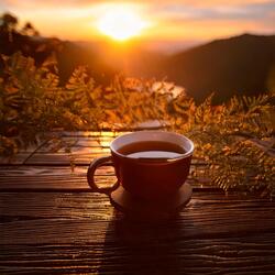 Serene Rest Symphony