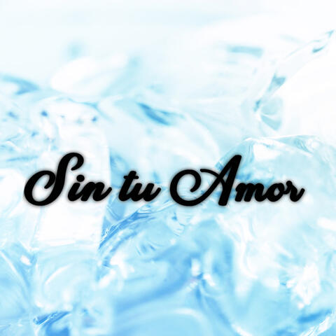 sin tu amor