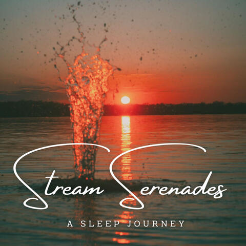 Soothing Stream Serenades: A Sleep Journey