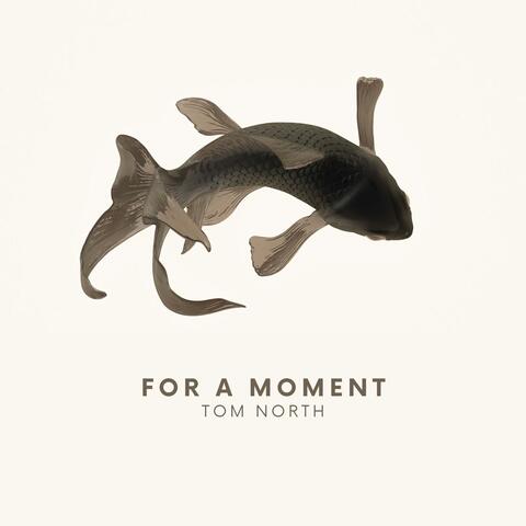 For a Moment