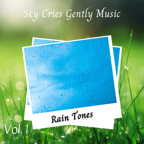 Rain Tones: Sky Cries Gently Music Vol. 1
