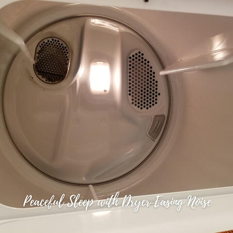 Peaceful Sleep with Dryer Easing Noise