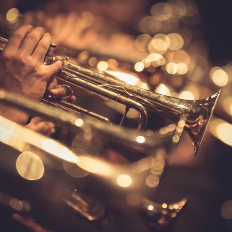 Gentle Relaxation Orchestra: Classical Sounds