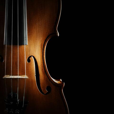 Dreamtime Orchestra: Gentle Night Melodies