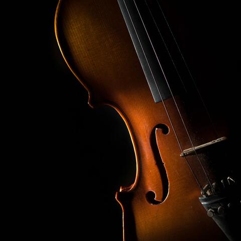 Orchestra Calm: Evening Relaxation Music