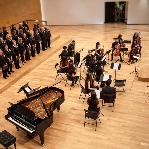 Soothing Orchestra Sounds for Sleep