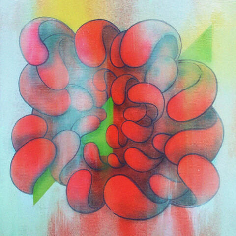 Shapes and Flowers