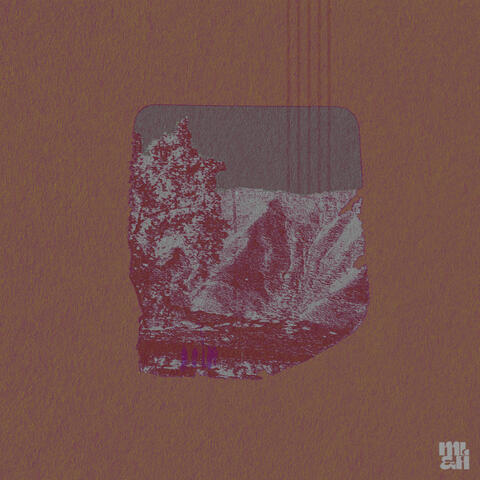 Northside Violet