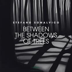 Between the Shadows of Trees