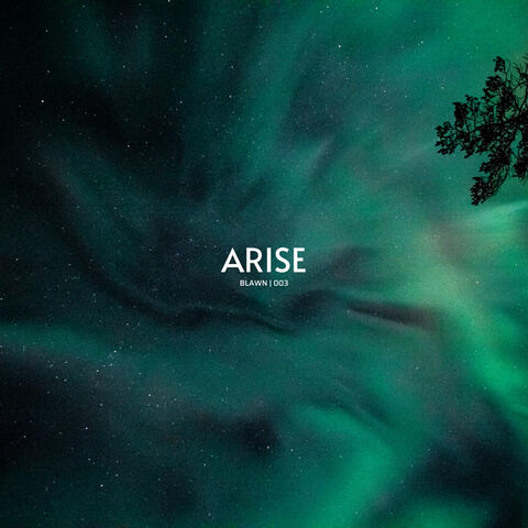 ARISE