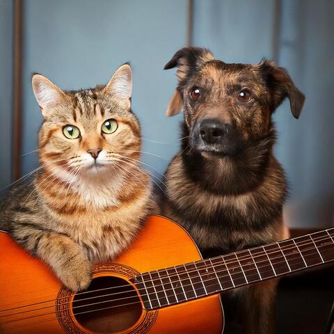 Relaxing Sounds: Guitar Music for Pets